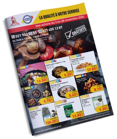 Cat-min-nov-gst Cat-min-nov-gst